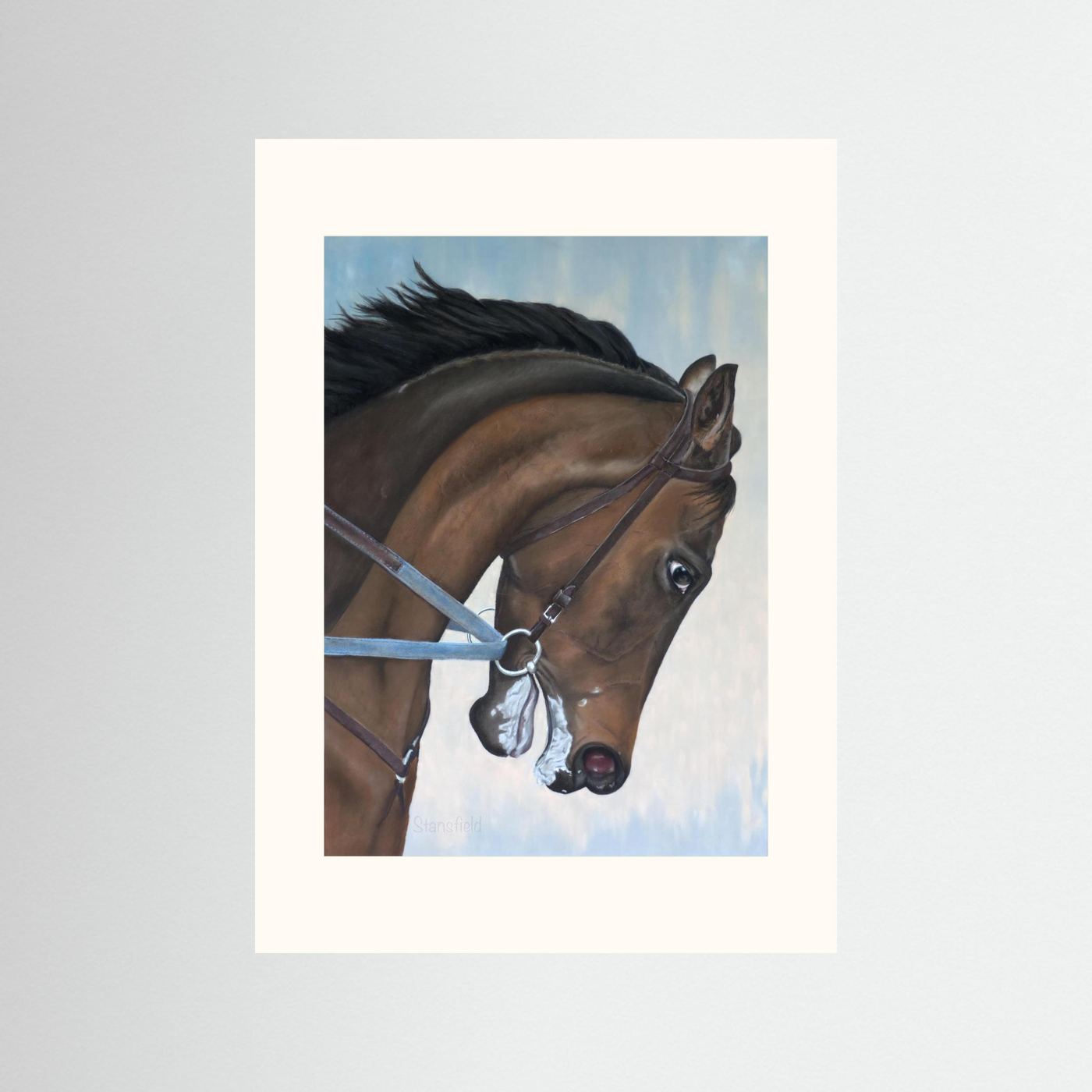 Morning gallop: open edition print