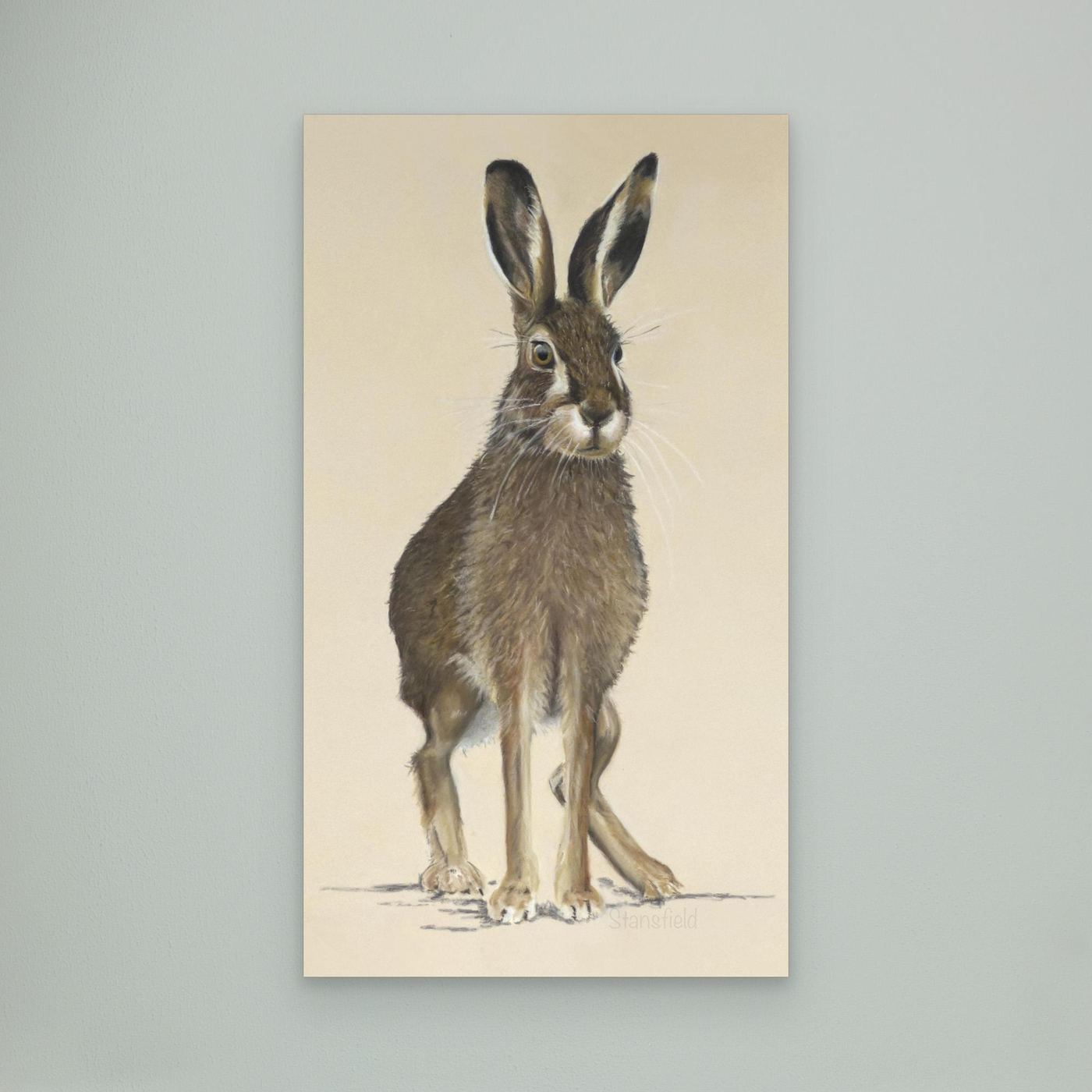 March hare