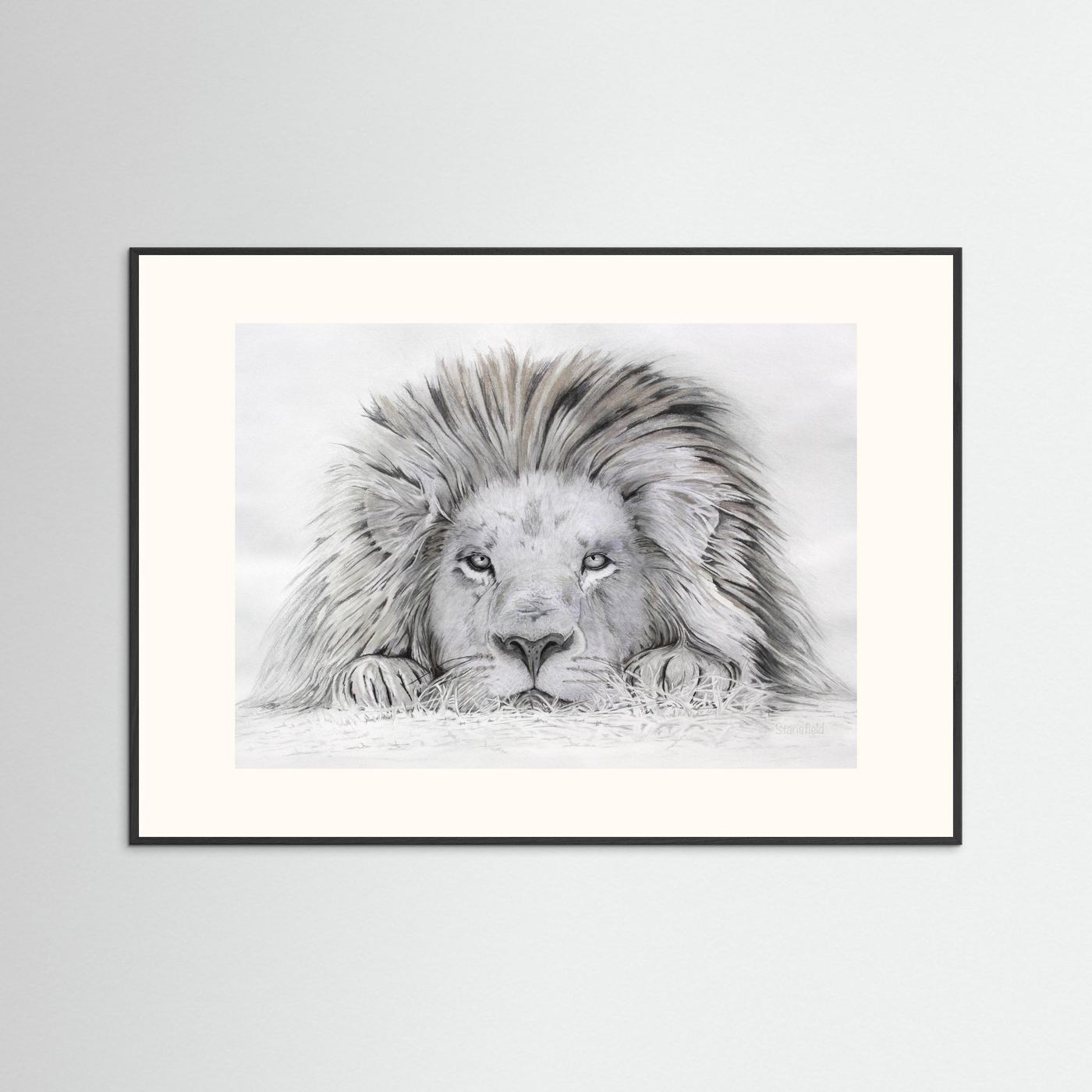 Lion - I see you: open edition print