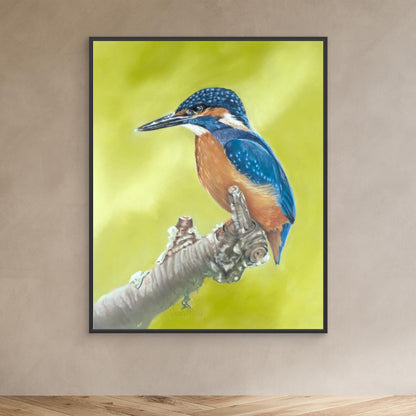 Kingfisher