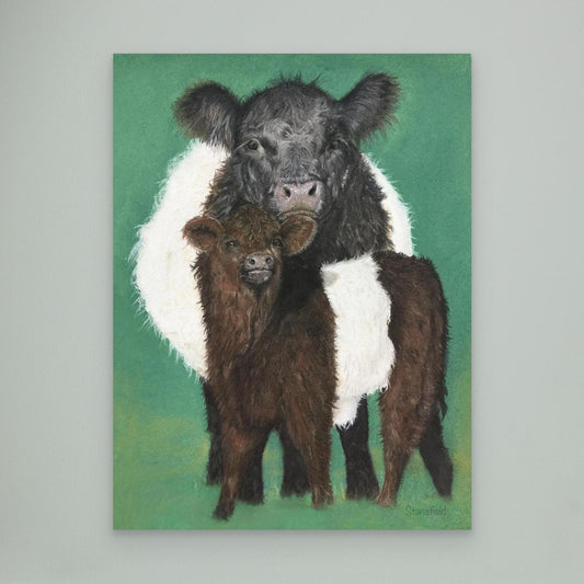 Belted Galloway cow and calf