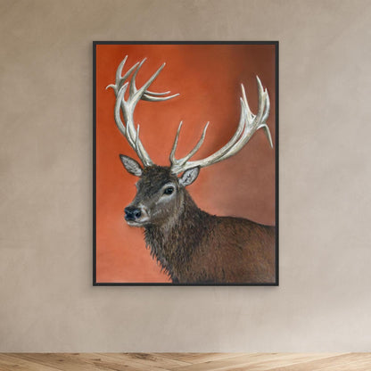 Red deer stag