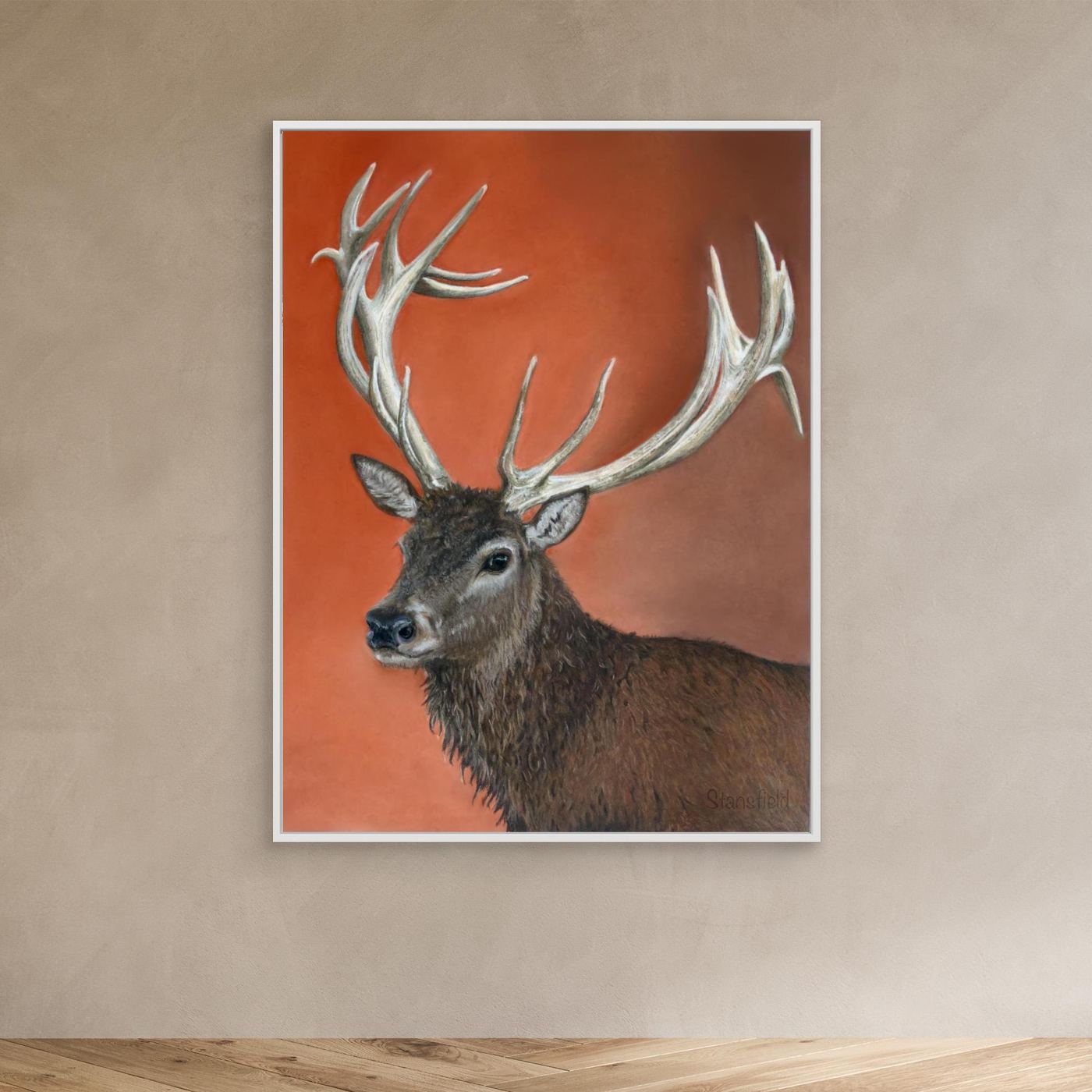 Red deer stag