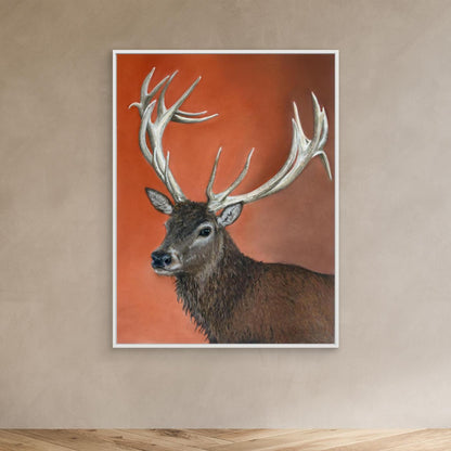 Red deer stag