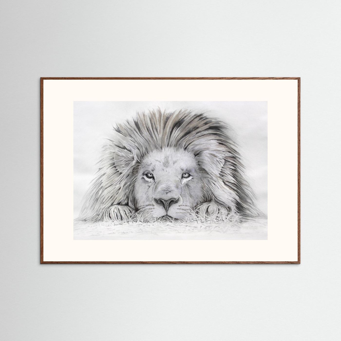 Lion - I see you: open edition print