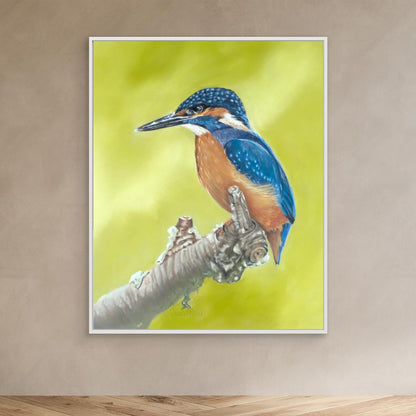 Kingfisher