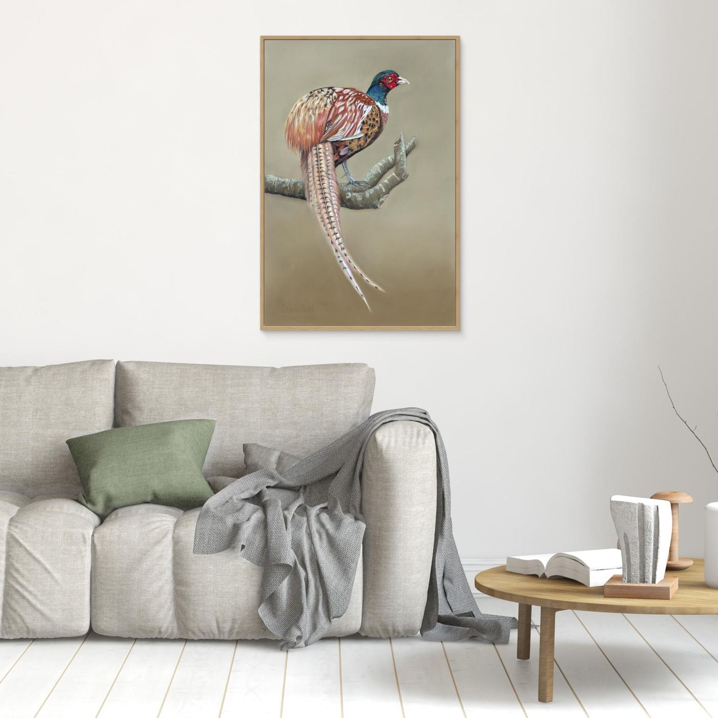 Male pheasant