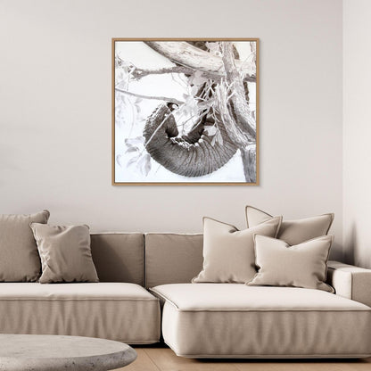Elephant trunk, tusk, tree