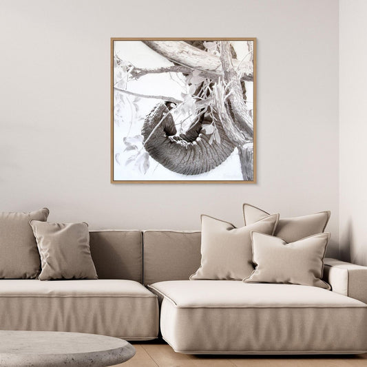 Elephant trunk, tusk, tree