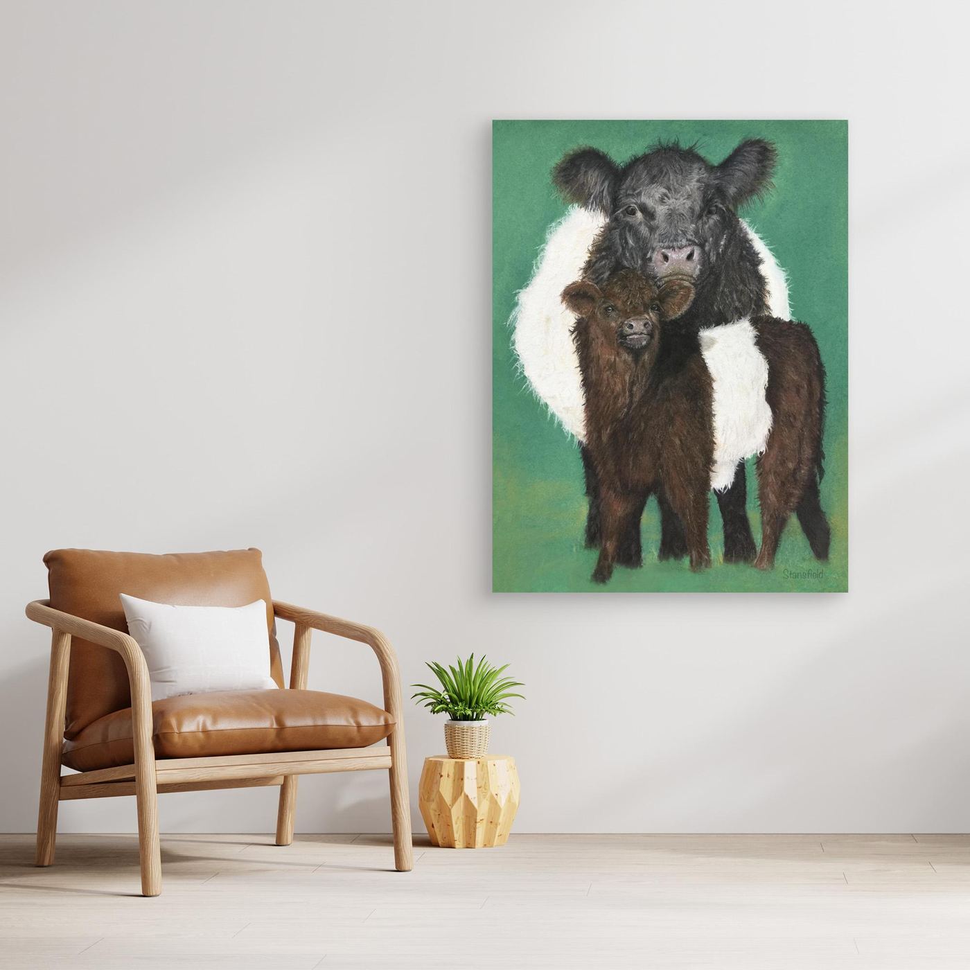 Belted Galloway cow and calf
