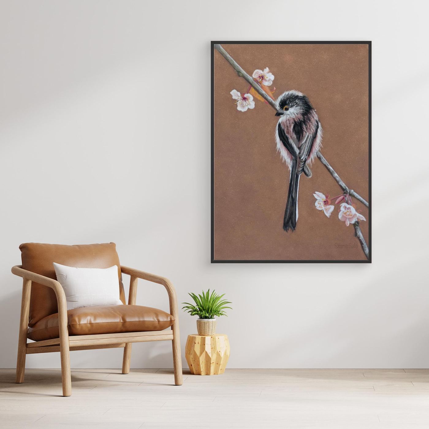 Long tailed tit - blossom