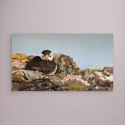 Puffin on the rocks