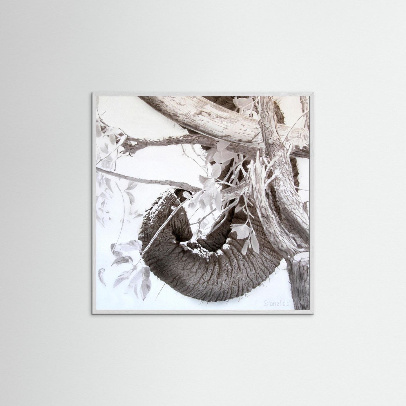 Elephant trunk, tusk and tree