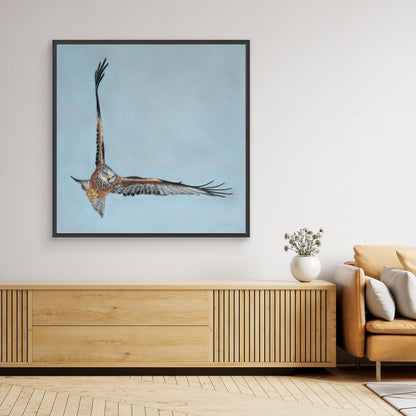 Red kite