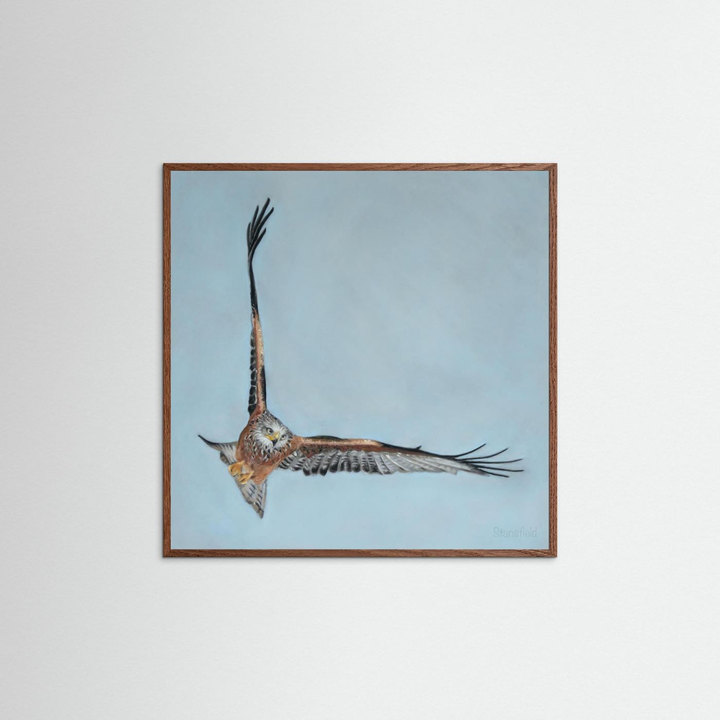 Red kite: open edition print