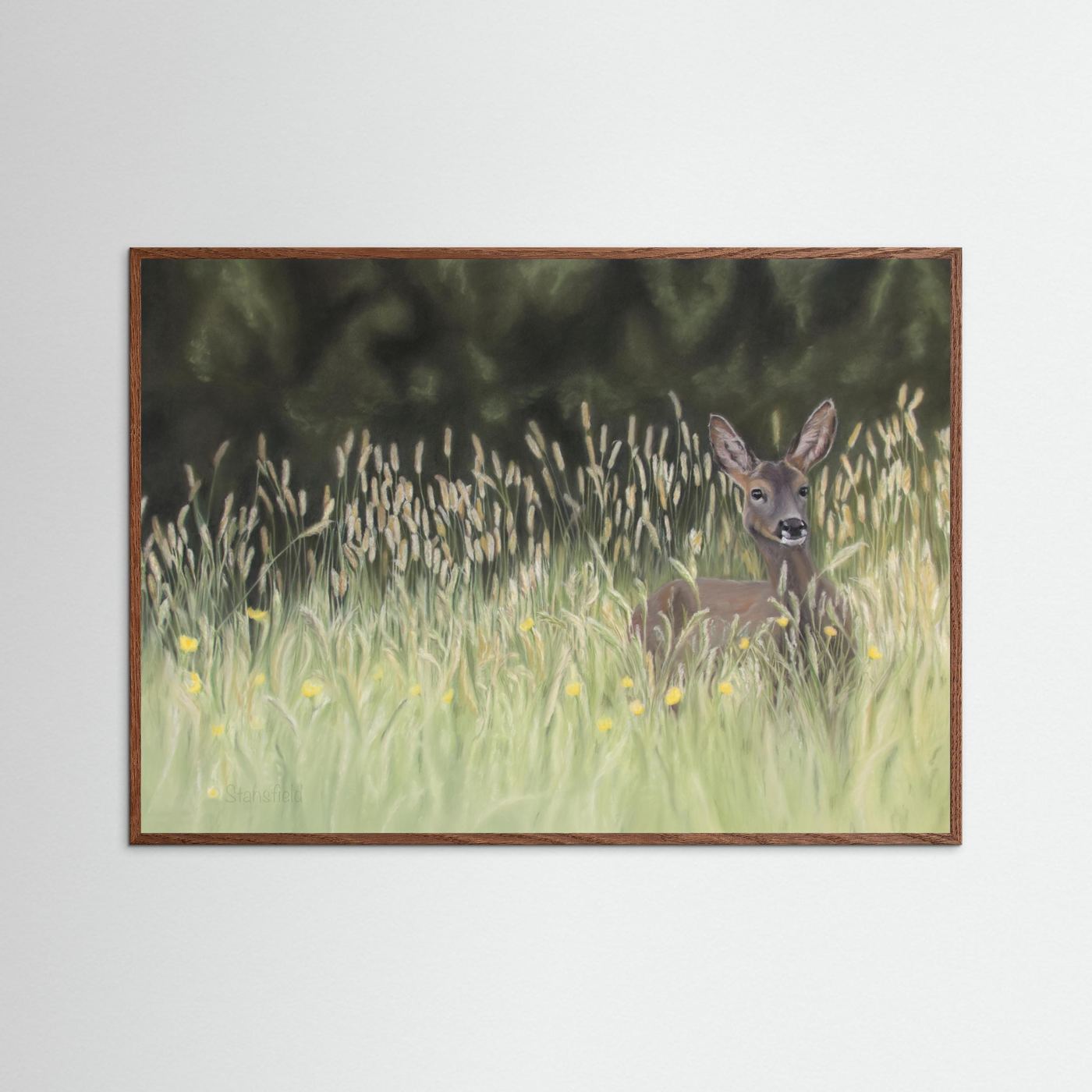 Morning meadow: open edition print