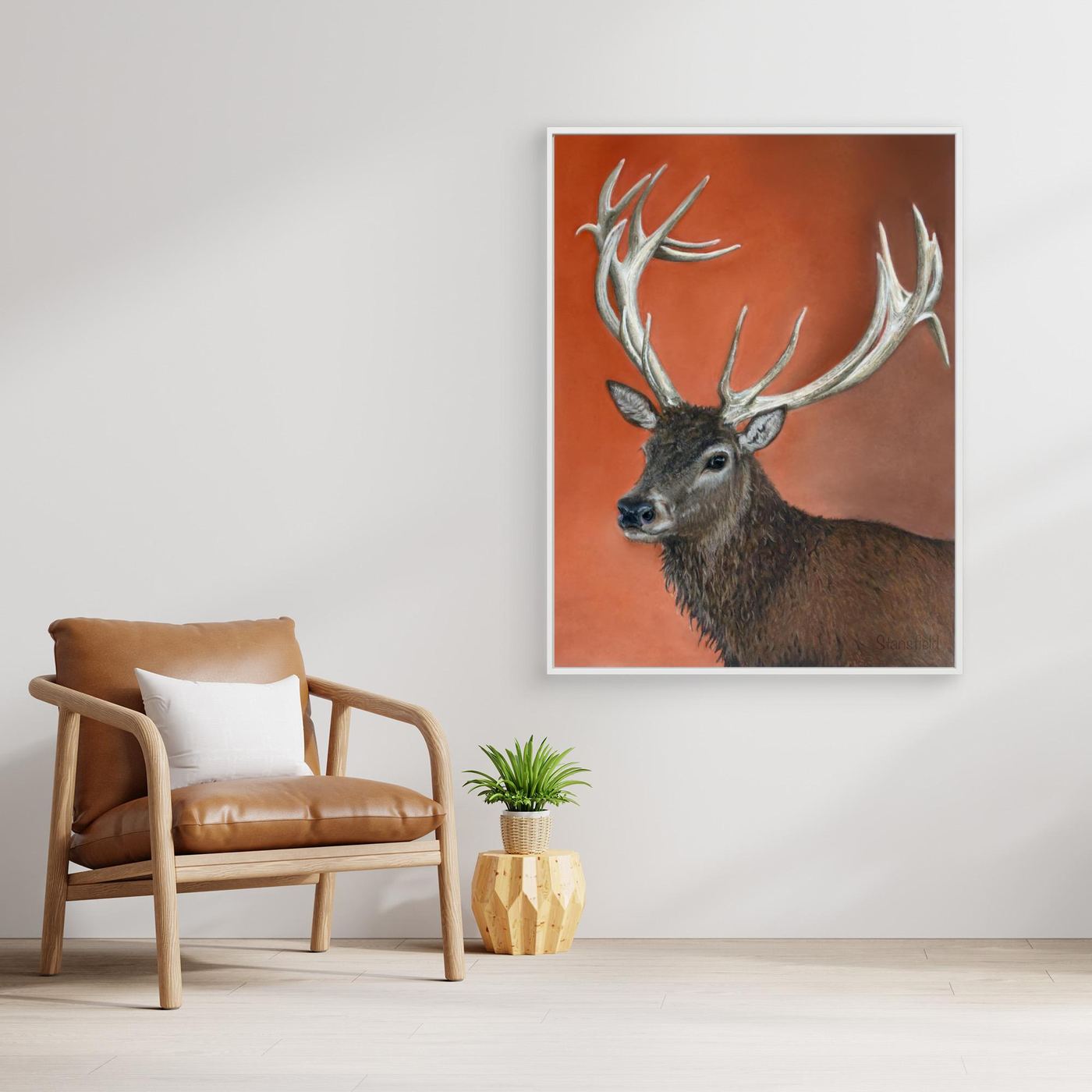 Red deer stag