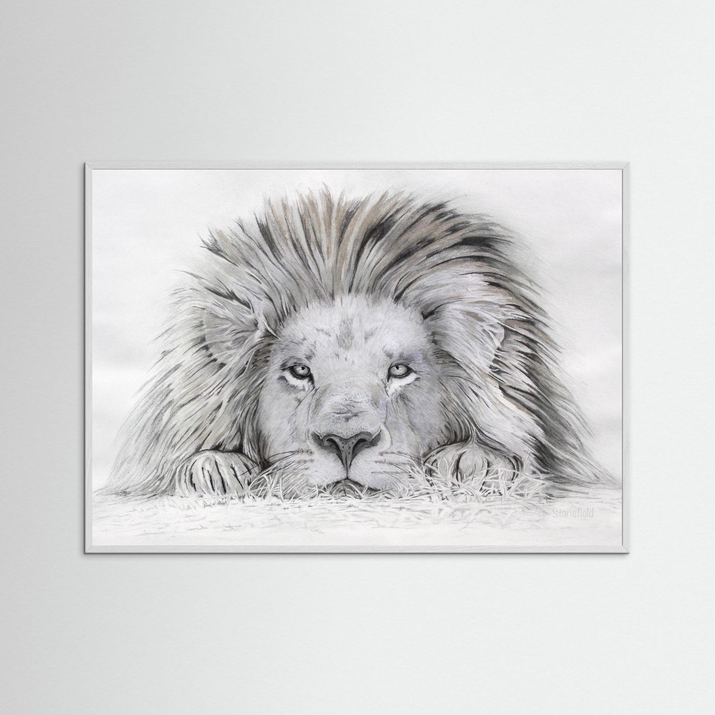 Lion - I see you: open edition print