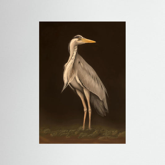 Keeper of the quiet shore