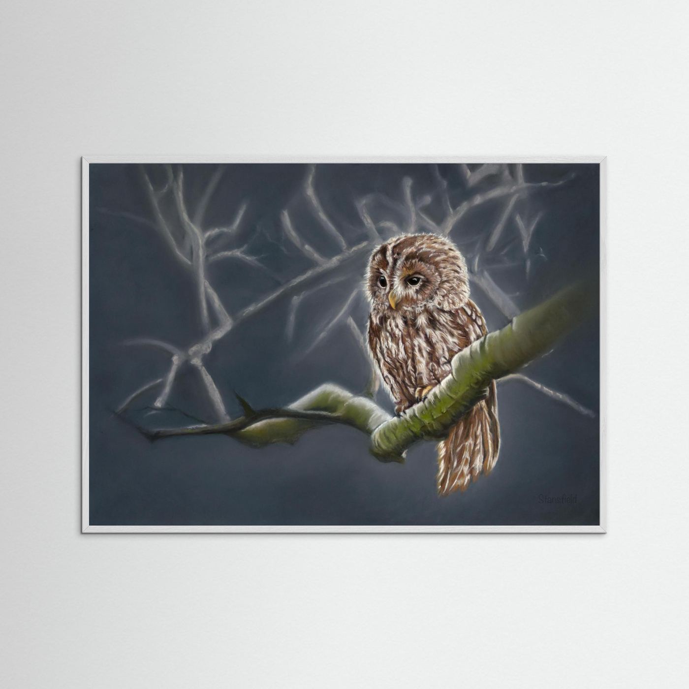 Moonlit tawny owl: open edition print