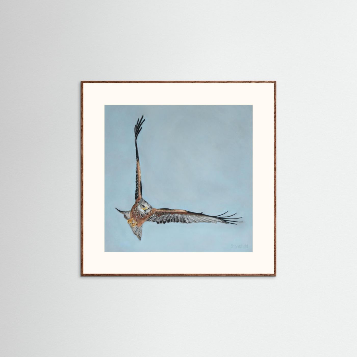 Red kite: open edition print