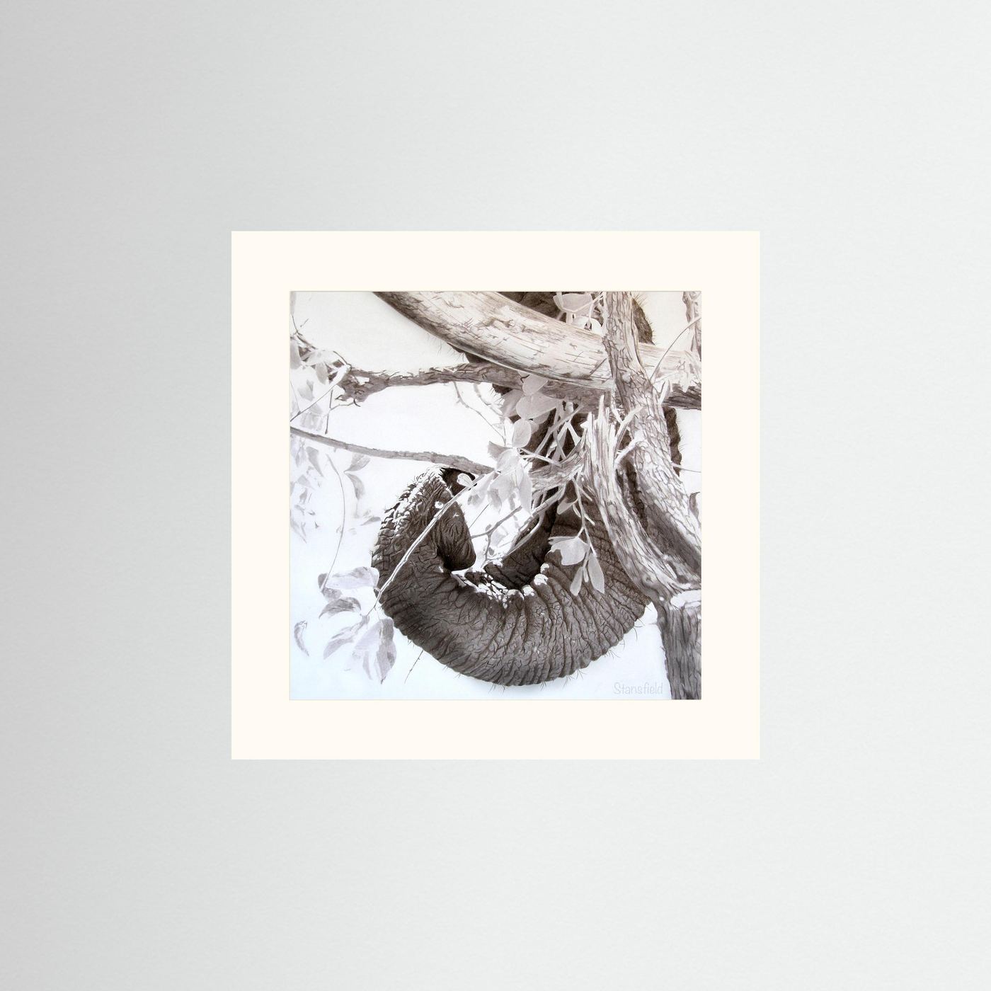 Elephant trunk, tusk and tree