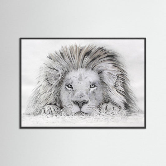 Lion - I see you: open edition print