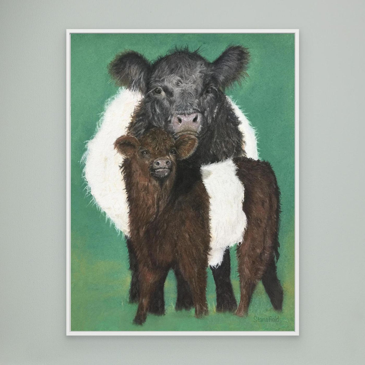 Belted Galloway framed farm animal wall art
