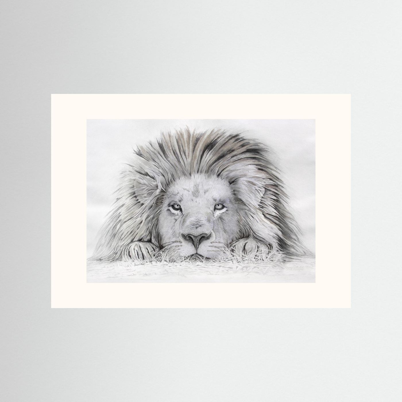 Lion - I see you: open edition print