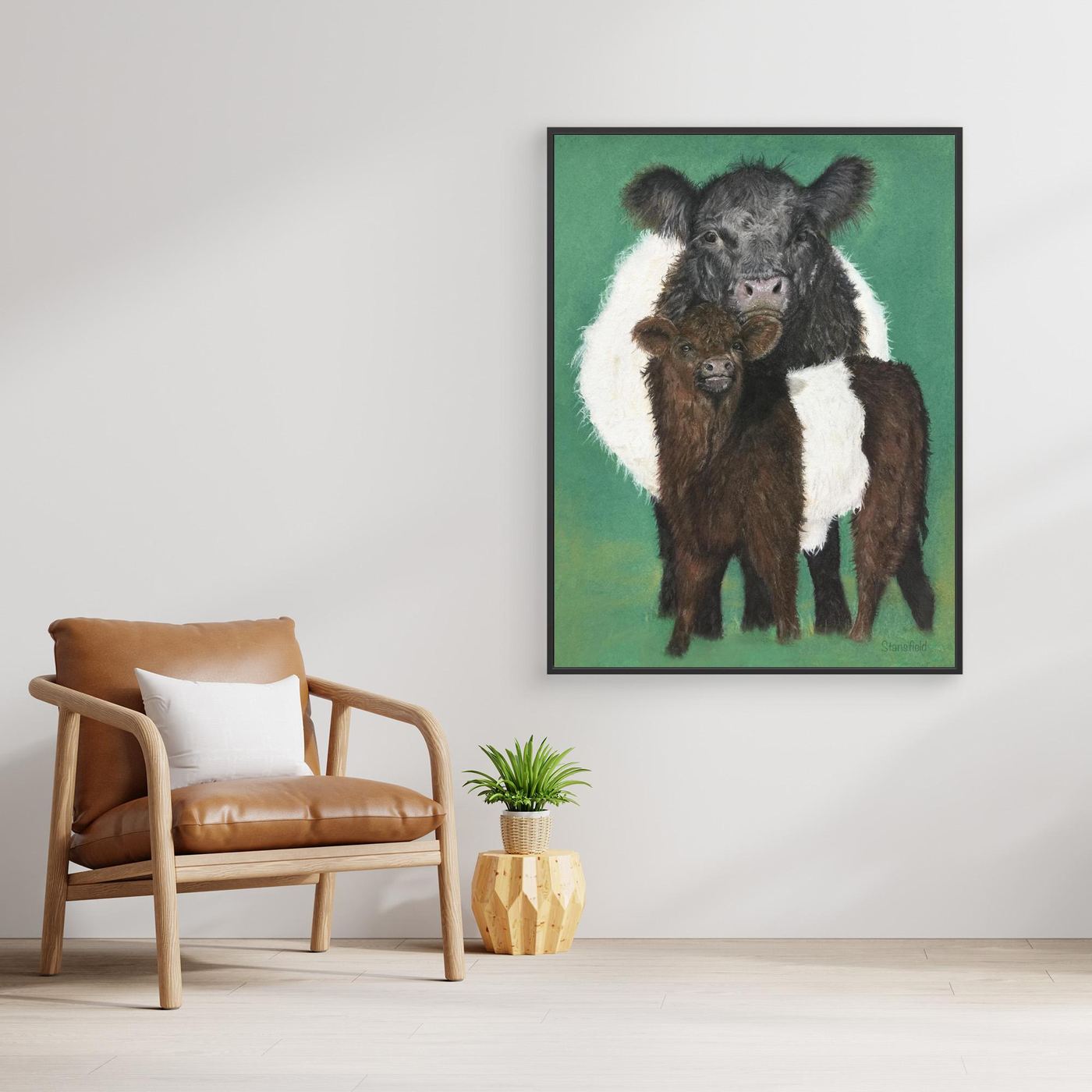 Belted Galloway cow and calf