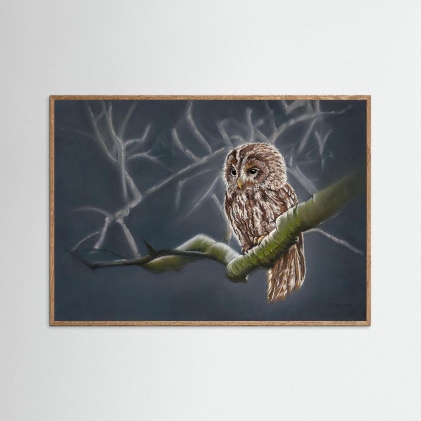 Moonlit tawny owl: open edition print