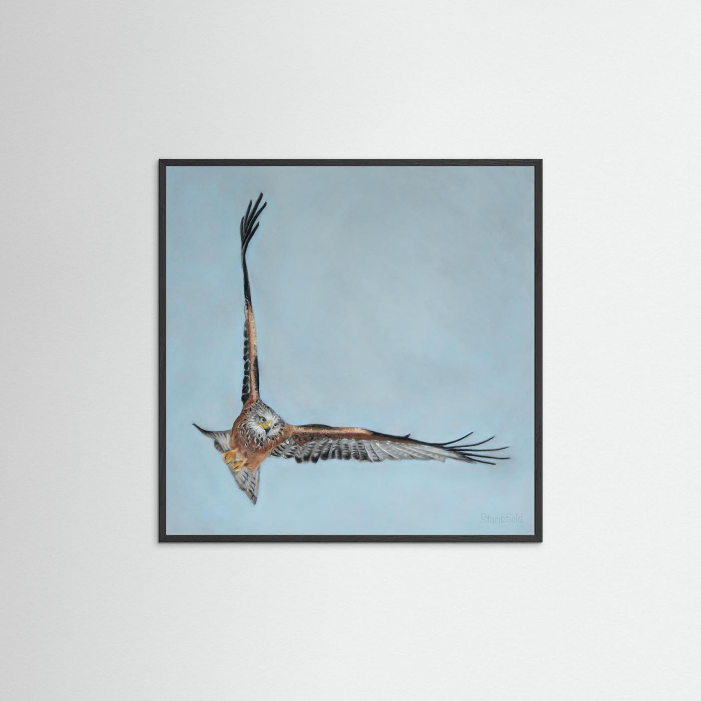 Red kite: open edition print