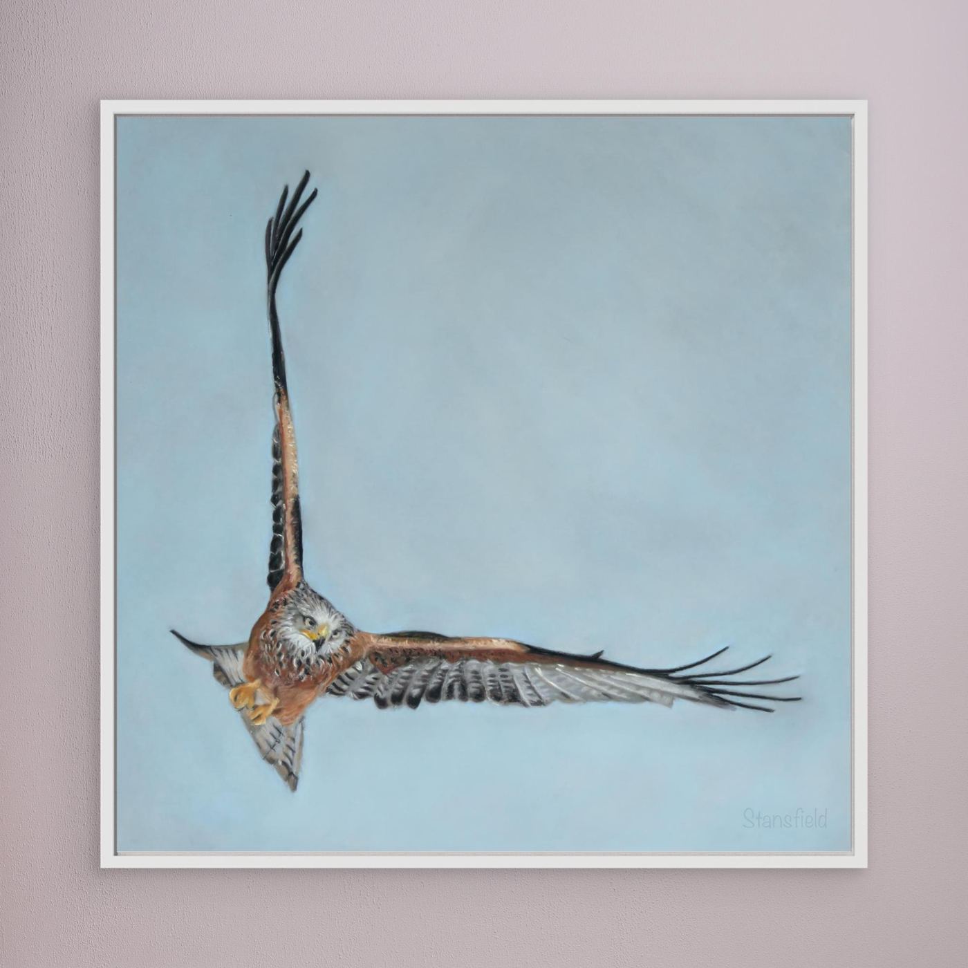 Red kite
