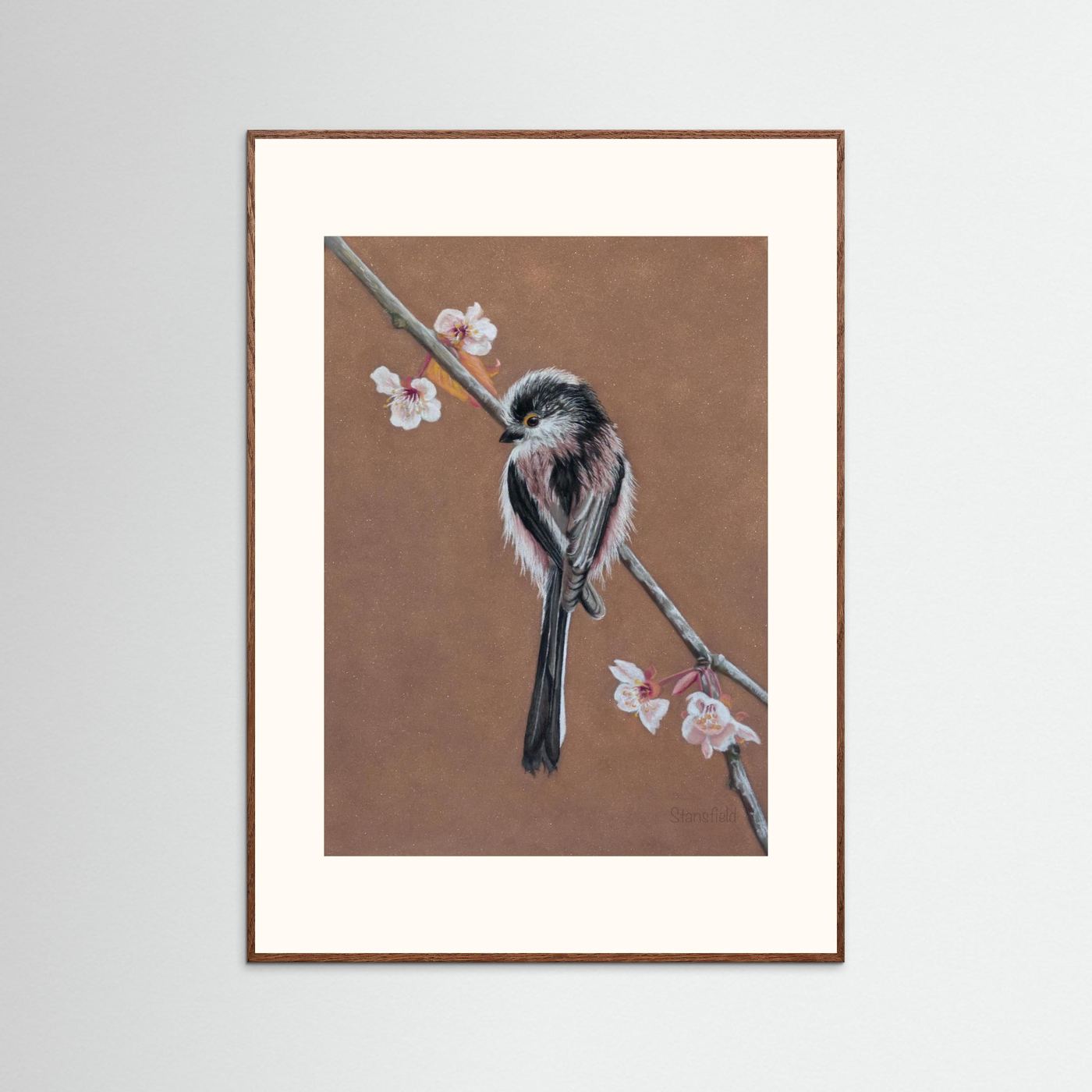 Long tailed tit - blossom: open edition print