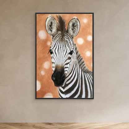Zebra foal