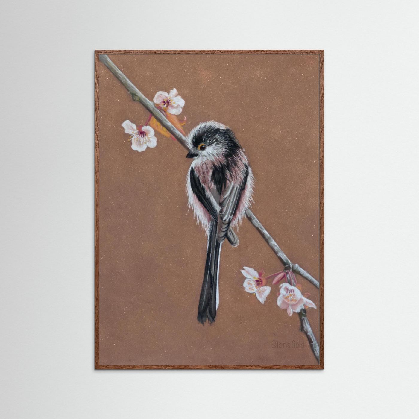 Long tailed tit - blossom: open edition print