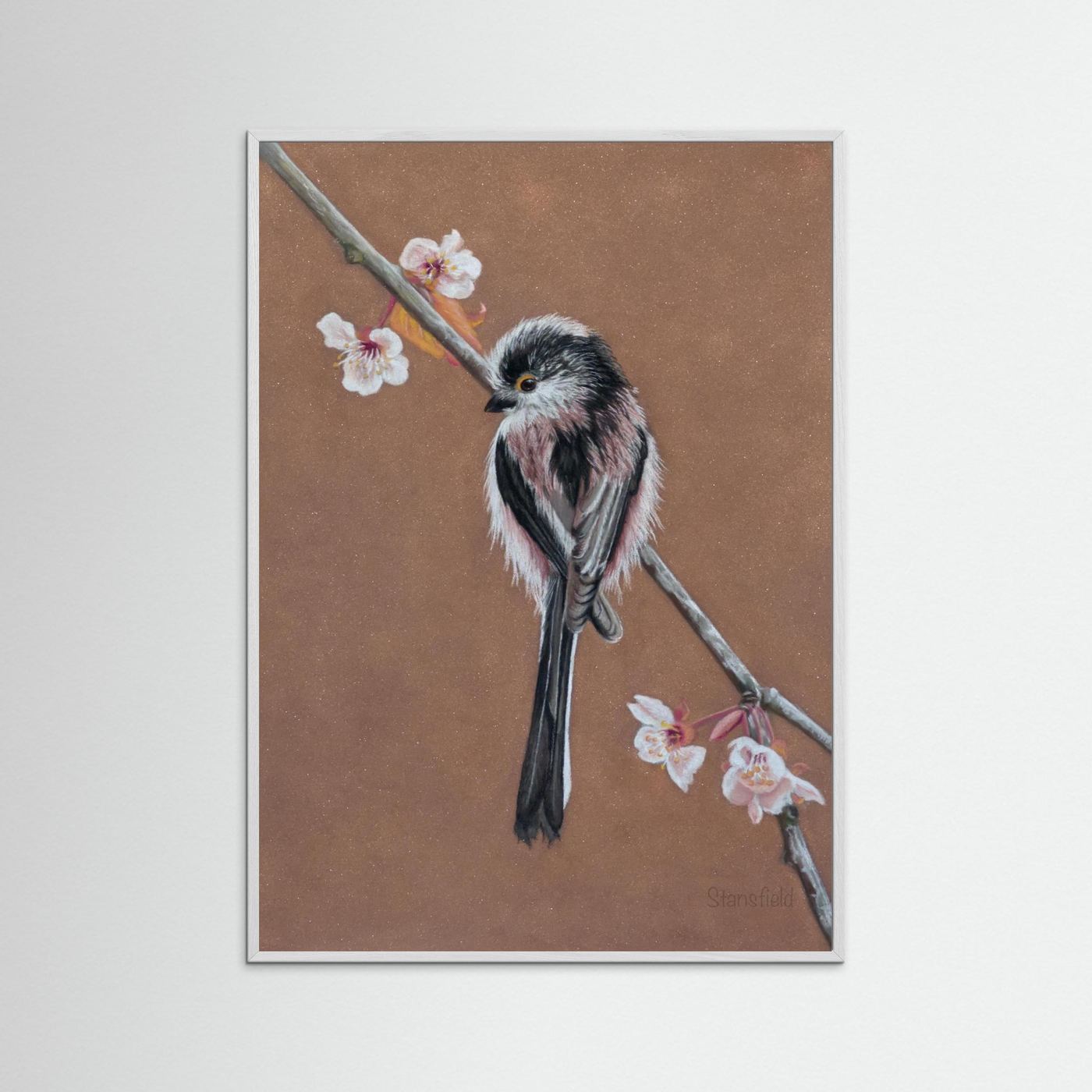 Long tailed tit - blossom: open edition print