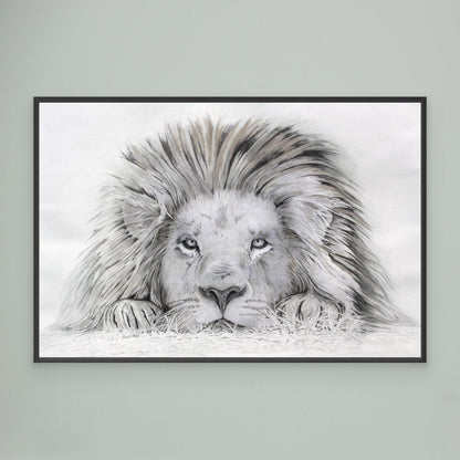 Lion ICU