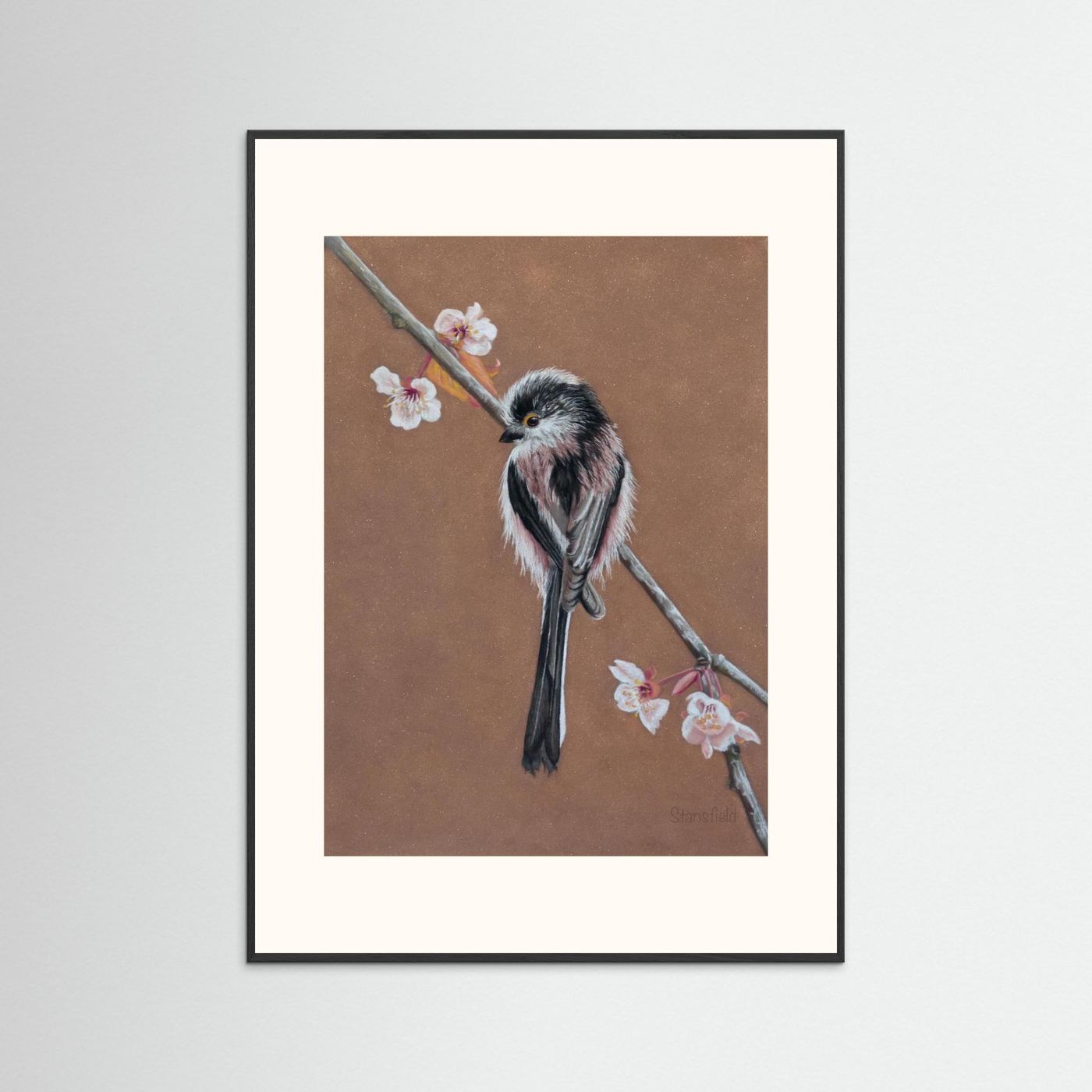 Long tailed tit - blossom: open edition print