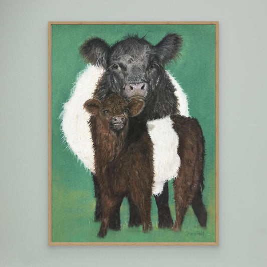 Belted Galloway cow and calf