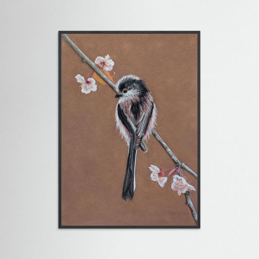 Long tailed tit - blossom: open edition print
