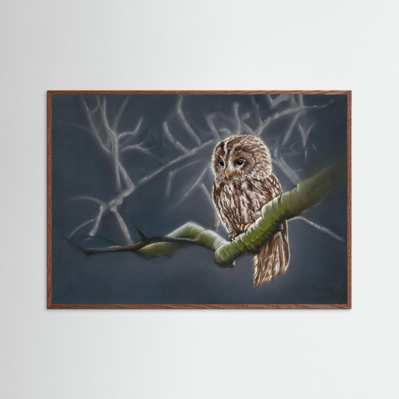Moonlit tawny owl: open edition print