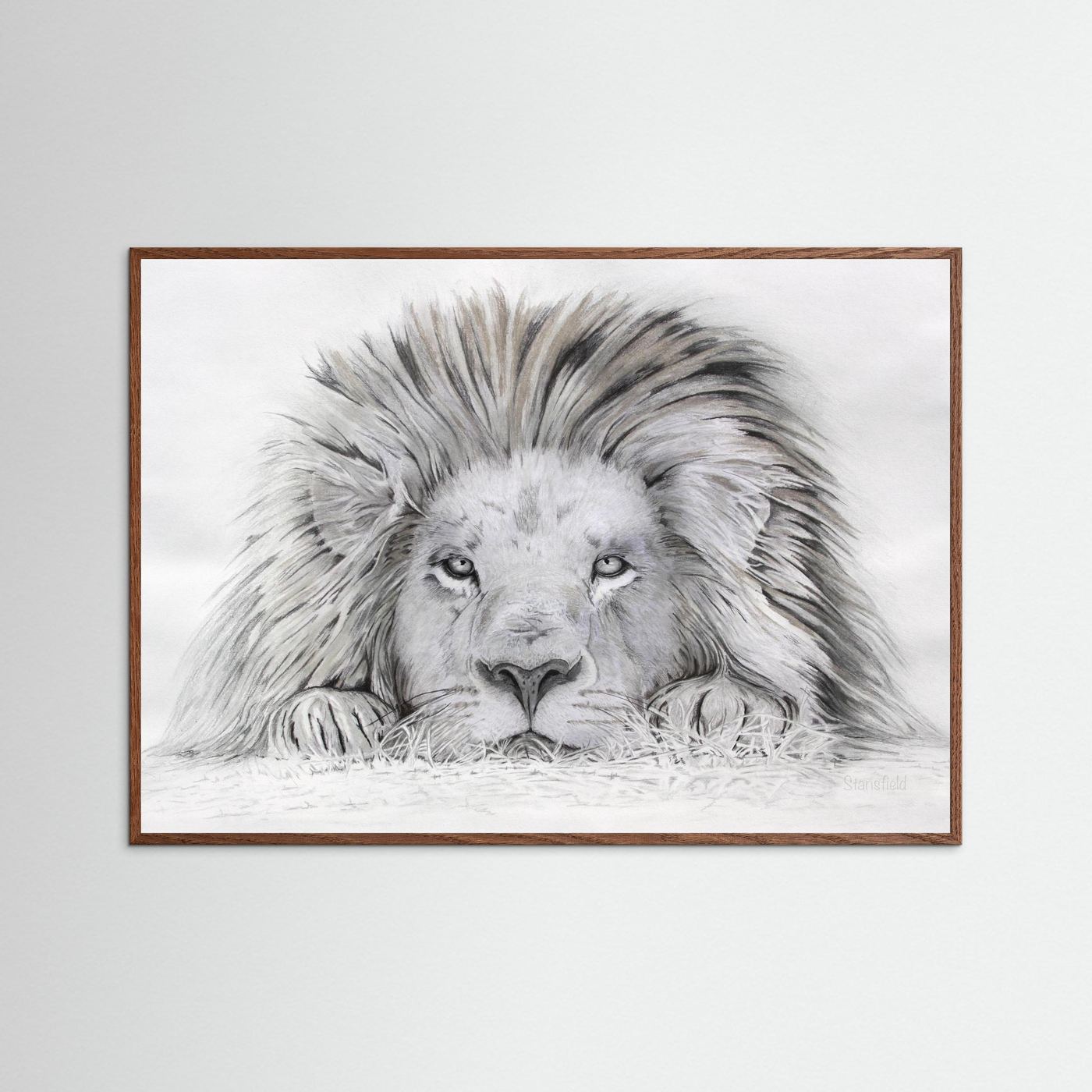 Lion - I see you: open edition print