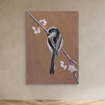 Long tailed tit - blossom