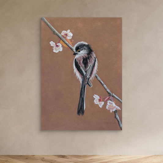 Long tailed tit - blossom