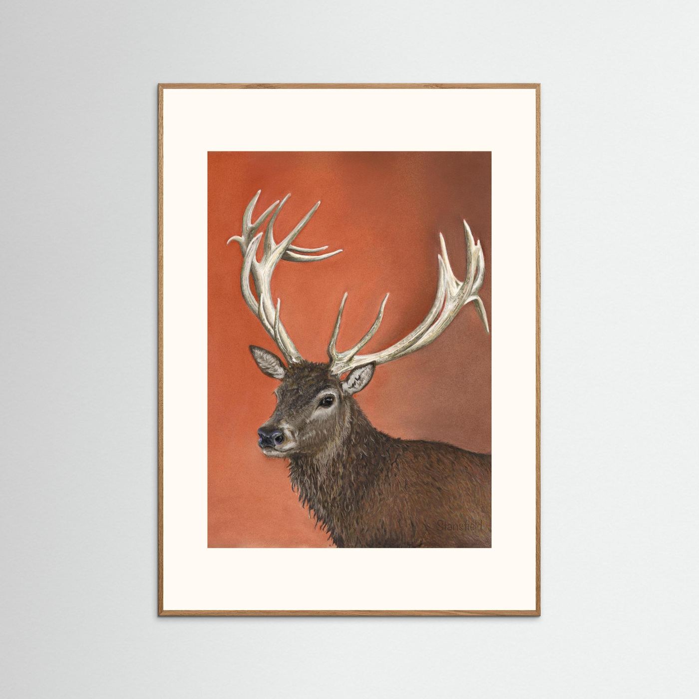 Red deer stag: open edition print