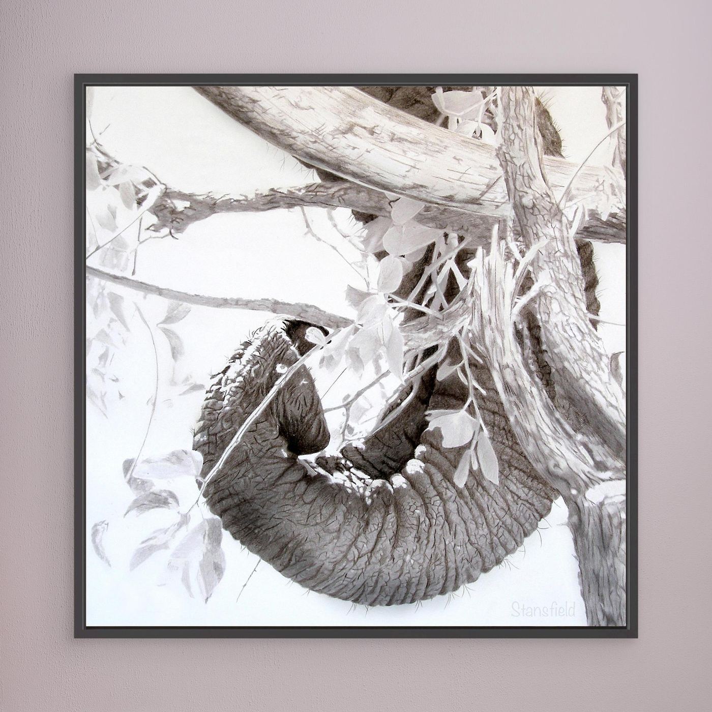 Elephant trunk, tusk, tree