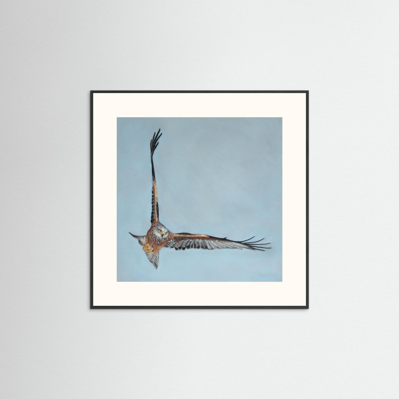 Red kite: open edition print