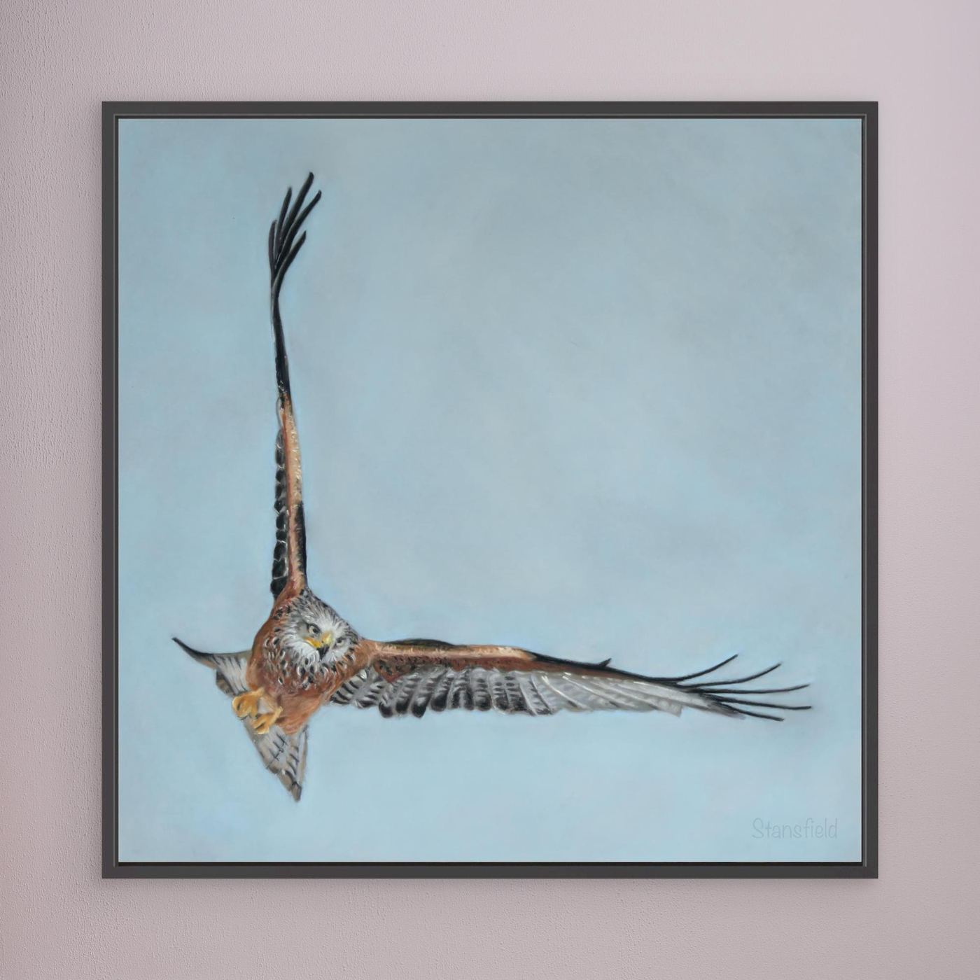 Red kite