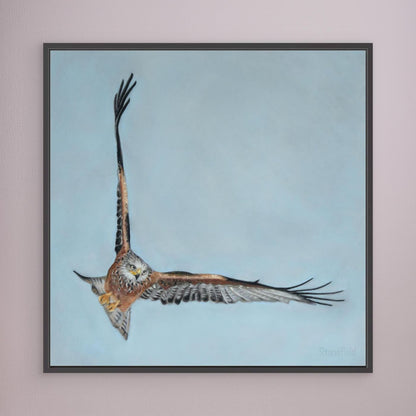 Red kite